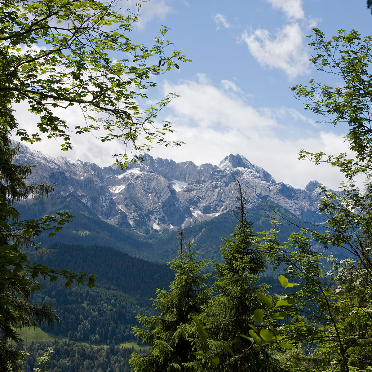 Artikelbild Tageswanderung über blühende Almwiesen mit toller Aussicht