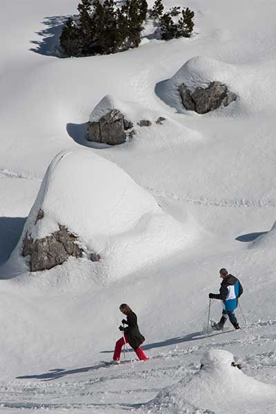 Artikelbild geführte Schneeschuhwanderungen