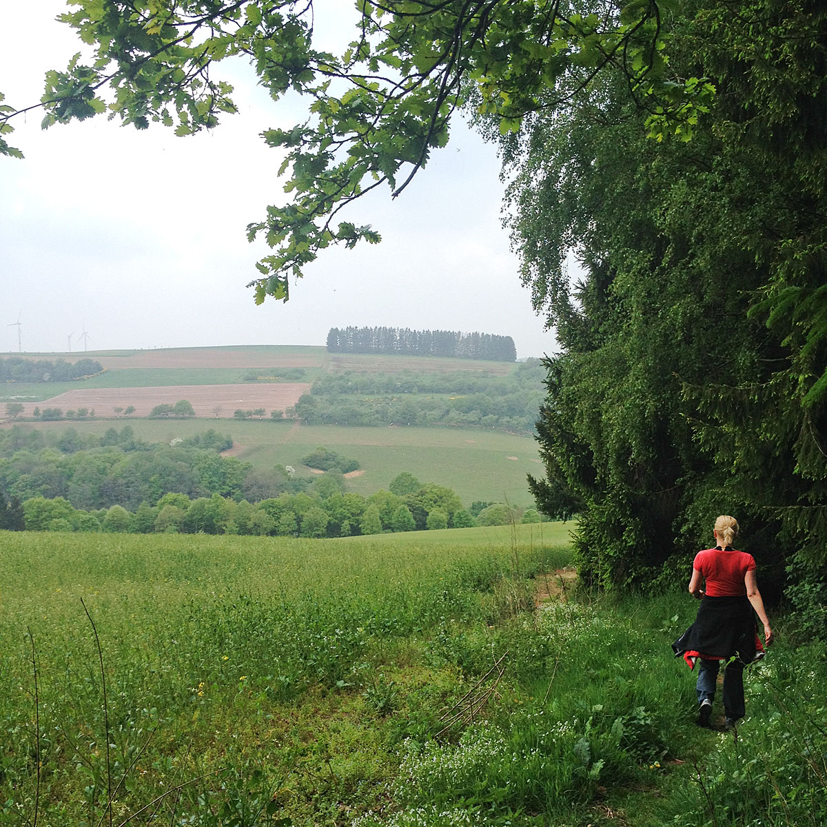 Artikelbild Biberpfad Saarland Aussichten