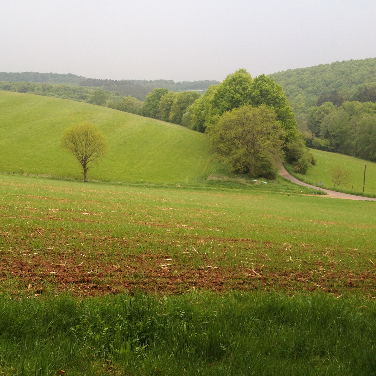 Artikelbild Biberweg Saarland Feldflure