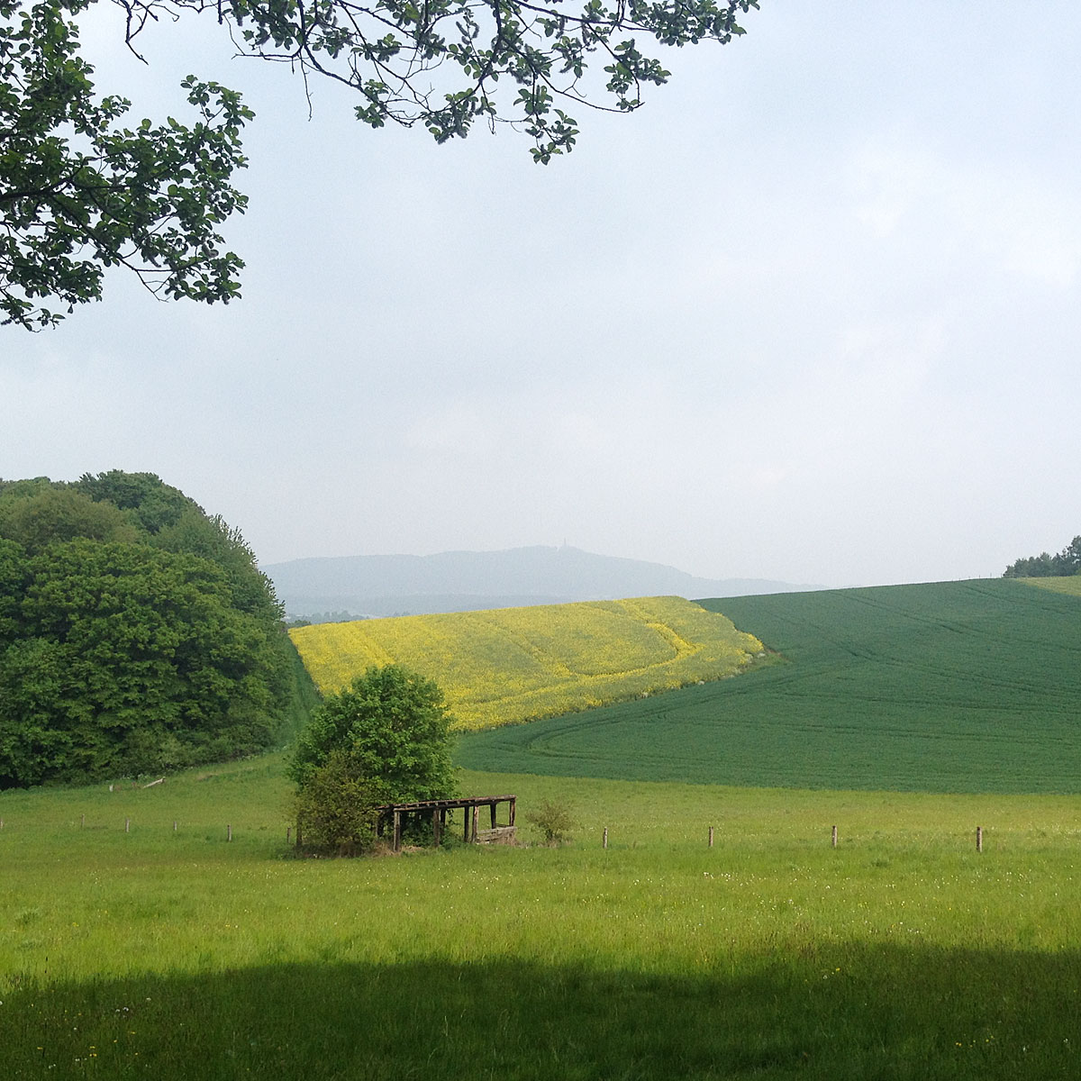 Artikelbild Biberpfad Premiumweg Saarland