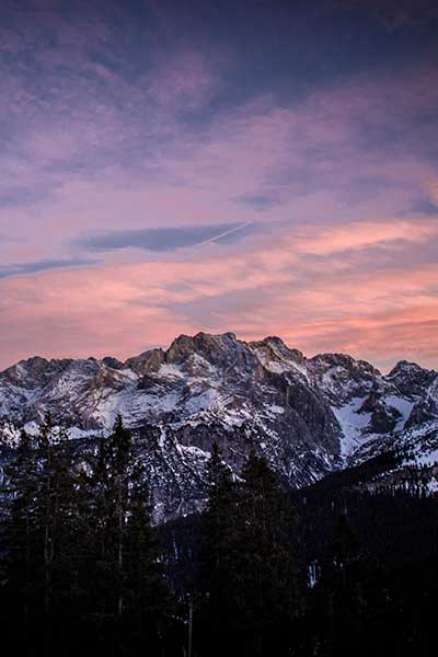 Artikelbild Steinbock Bergtouren Abendstimmung Dreitorspitze