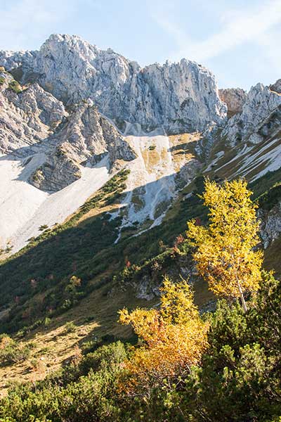 Beitragsbild Herbst im Tannheimer Tal mit Steinbock Bergtouren