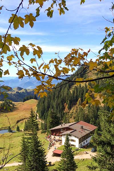 Artikelbild früher Herbstbeginn in den Bergen