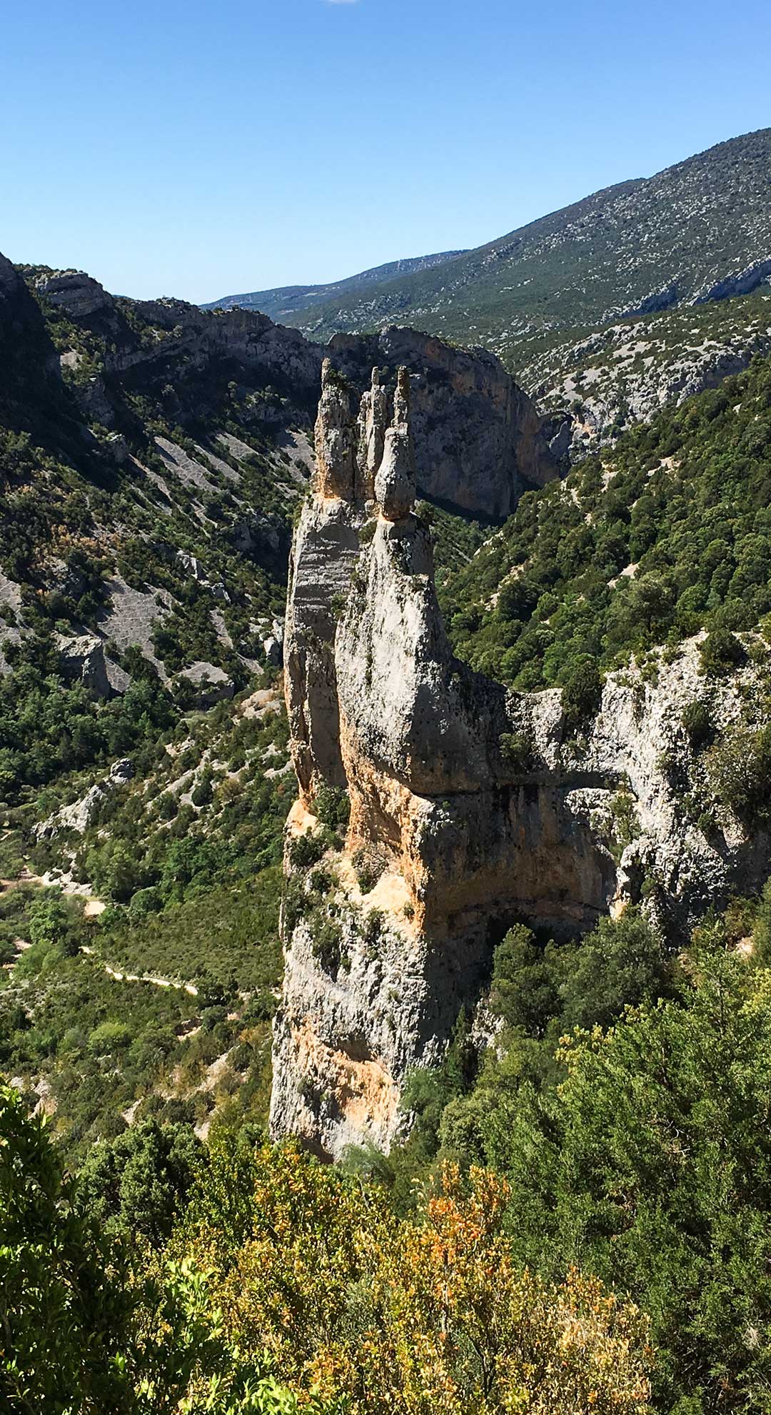Tourenbeschreibung der Bergtour Sierra y Cañones de Guara Steinbock
